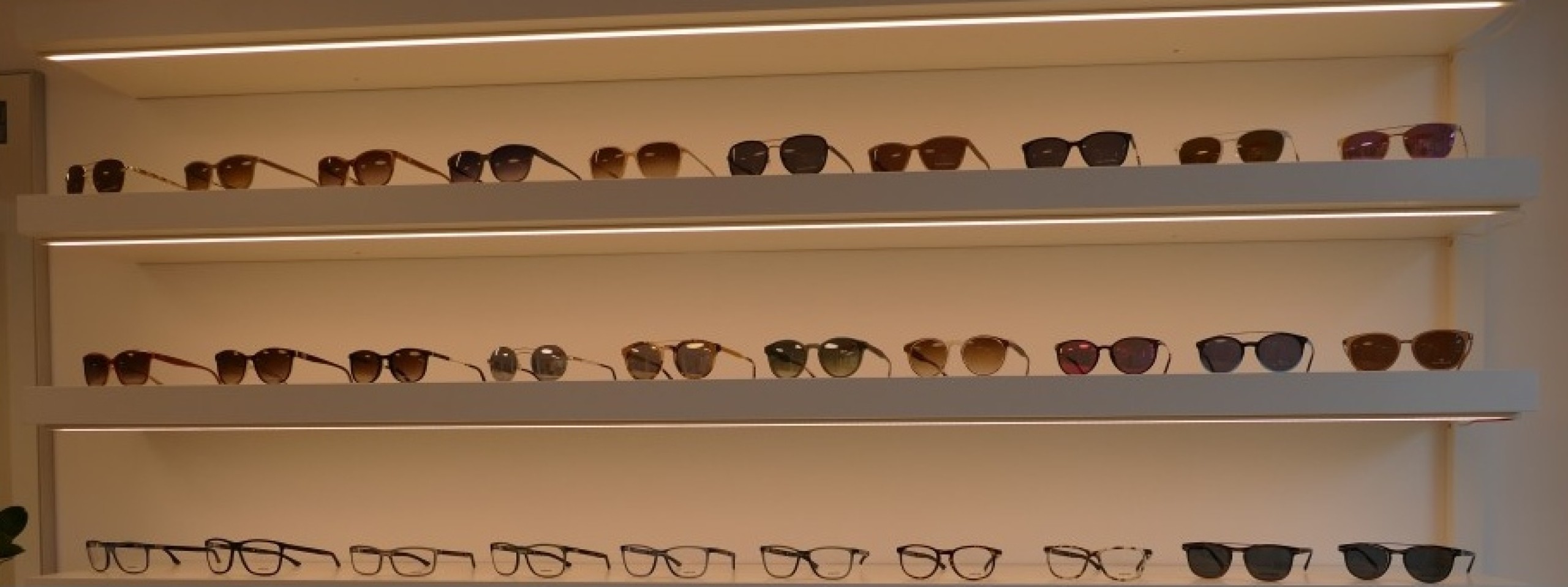 Ladengeschäft Heyde-Optik in Dresden.